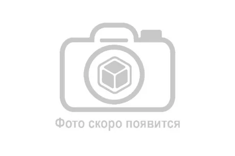 Главная категрия